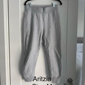 Aritzia Gray Women's Joggers